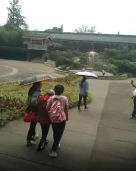 拳皇97角色深度对比:哪位猴子型选手在格斗舞台上更为强势? 拳皇97角色深度对比:哪位猴子型选手在格斗舞台上更为强势?