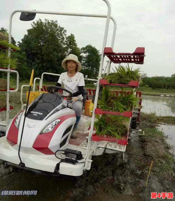 夫妻间100间插秧法人民网：种植技巧、农业知识、家庭农场经验分享