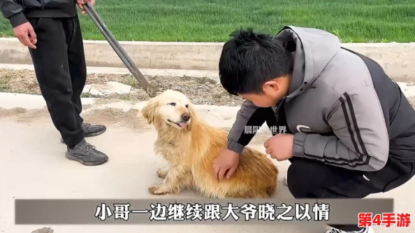 张警犬9分10秒头撞玻璃夸克,"汪"声一响惊天动地,网友直呼太拼命 张警犬9分10秒头撞玻璃夸克,"汪"声一响惊天动地,网友直呼太拼命