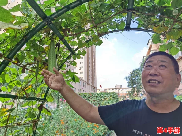小花园想夹东西怎么办?教你几招轻松解决问题,打造更美好的小空间! 小花园想夹东西怎么办?教你几招轻松解决问题,打造更美好的小空间!