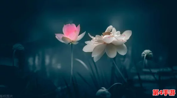 久色悠悠，网友称其为“时光的味道”，让人沉醉于岁月流转中的温暖与回忆