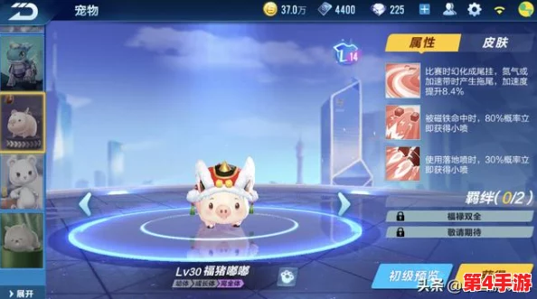 探索QQ飞车手游许愿池：揭秘累积多少次能满愿的终极奥秘！