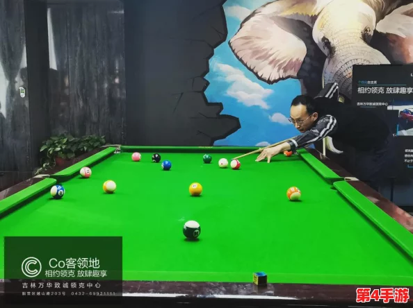 九号球服(1v1sc)逢迎：一球成名，谁与争锋？快来挑战你的台球技艺！