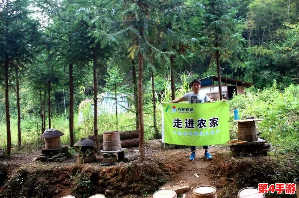 《地下城与勇士》高性价比宠物精选:综合属性与外观,哪一款是你的最优选? 《地下城与勇士》高性价比宠物精选:综合属性与外观,哪一款是你的最优选?