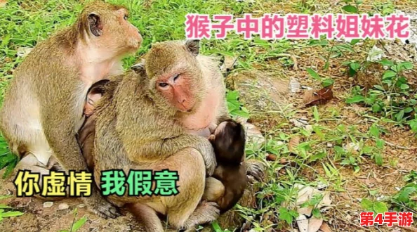 “两个人一起生猴子”:一场关于亲密关系与责任的深刻反思,值得每对伴侣认真思考 “两个人一起生猴子”:一场关于亲密关系与责任的深刻反思,值得每对伴侣认真思考