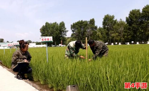 《模拟农场25》全球首发日期揭晓：农业经营新纪元何时降临？