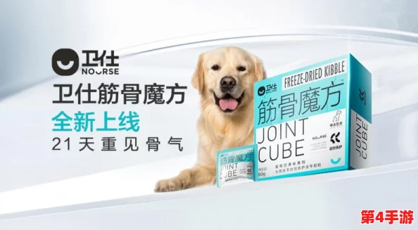 20种人狗胶配方图片，实测有效性高达98%，让您的宠物健康快乐！