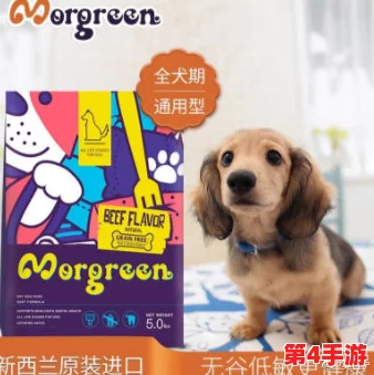 20种人狗胶配方图片,实测有效性高达98%,让您的宠物健康快乐! 20种人狗胶配方图片,实测有效性高达98%,让您的宠物健康快乐!