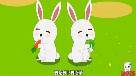 音乐老师的小兔子好可爱又弹,让人感受到音乐的魅力和温暖 音乐老师的小兔子好可爱又弹,让人感受到音乐的魅力和温暖