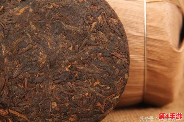 《剑网3指尖江湖》深度挖掘：解锁木师傅伙伴角色的全方位获取策略与培养指南