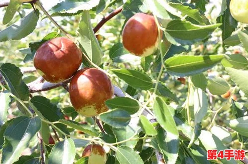 舞蹈生退了裙子重打三十大板，反映出社会对艺术与个体自由的矛盾与冲突，引发深思