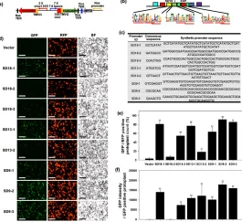 辐射4深度玩法探讨:VATS强化与标准模式(非VATS 40%)实战效能全面对比 辐射4深度玩法探讨:VATS强化与标准模式(非VATS 40%)实战效能全面对比