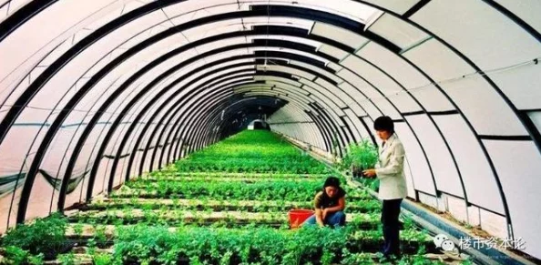 三角洲行动：实战策略下的战场支援技能高效运用指南