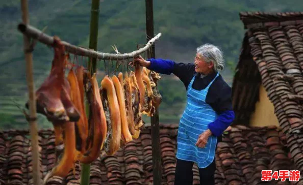 《光遇》11月24日庆典：全方位重温先祖温情记忆，高效完成回忆收集攻略指南