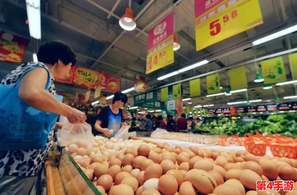 在破碎之地构建高效传送系统的创新策略与实现路径探索