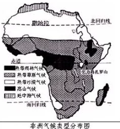 非洲人与性动交ccoo：探讨文化差异对于人类行为的影响