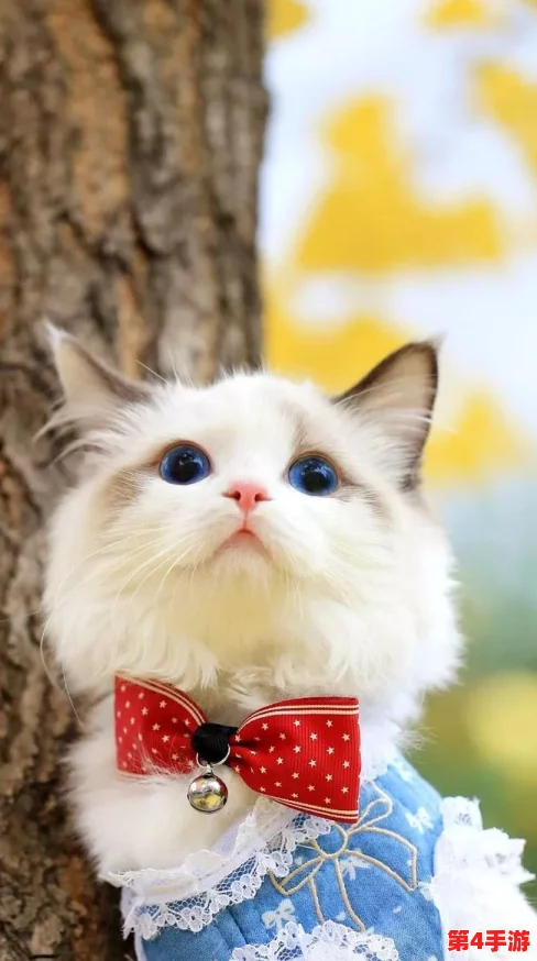 精选猫咪养成攻略：汤猫辅助技能搭配与优选策略指南