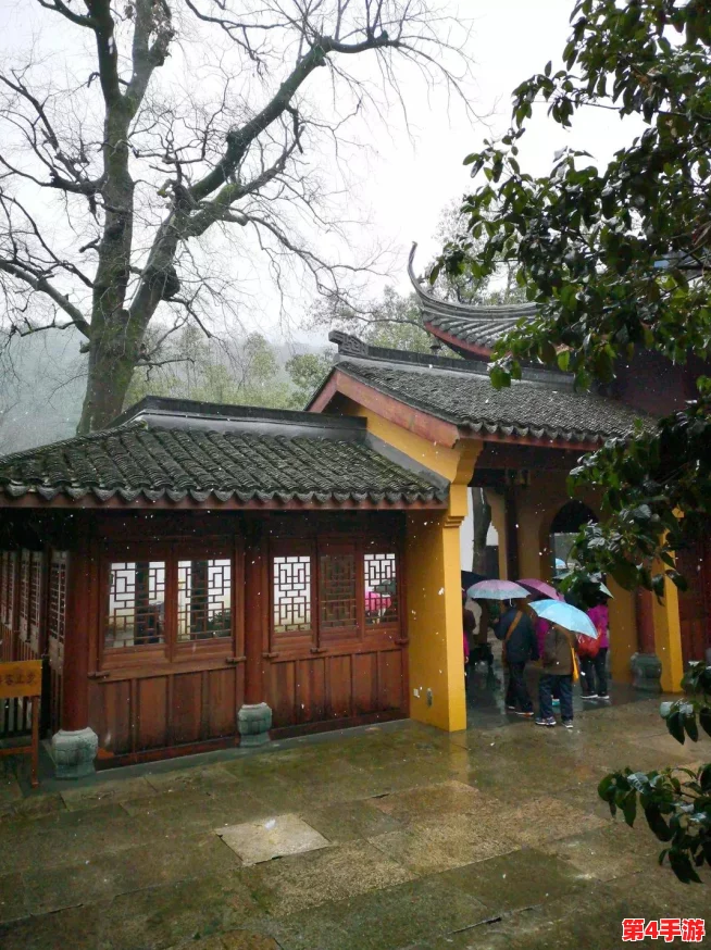 独家攻略：揭秘苦痛殿堂隐藏挑战，一步步解锁流星锤终极奥义秘籍