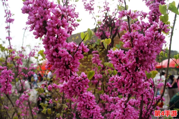 父母儿女合家欢乐阅读：共同探索知识的乐趣和亲情的温暖