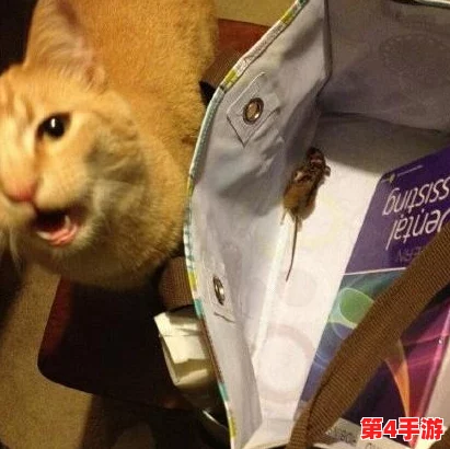 猫和老鼠手游策略进阶：顶尖玩家揭秘猫咪知识卡精准搭配，助力你称霸猫阵营