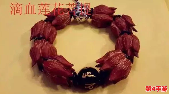 活体肉莲被金刚杵了会怎么样？网友：这真是太离谱了，难道不怕痛吗？我还是觉得它们应该好好生活