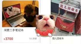 我爱搞笑52G.abb_u3m4：在这个充满幽默与欢乐的世界里，尽情享受每一个搞笑瞬间，带给你无尽的欢笑和快乐