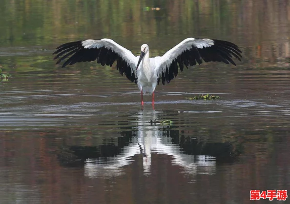 共筑生态屏障，天刀OL携手公益行动守护珍稀小勺子鹬，九九之日为爱启航！