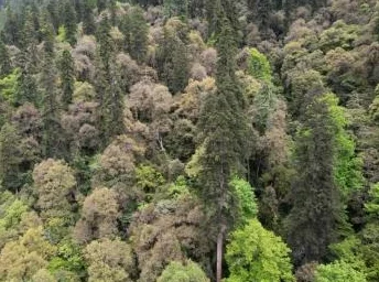 独家揭秘：原始传奇BOSS全天候刷新规律与高效挑战攻略概览