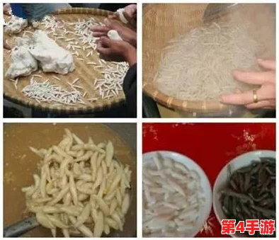独家揭秘:黑暗料理王'须吸不已'皇冠级食谱全图鉴,解锁顶级美食配方攻略大全 独家揭秘:黑暗料理王'须吸不已'皇冠级食谱全图鉴,解锁顶级美食配方攻略大全