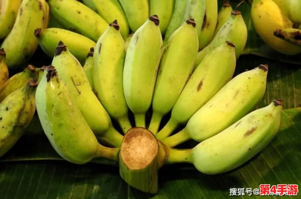 亚洲香蕉视频：深入了解这一独特文化现象及其在当代社会中的影响与意义