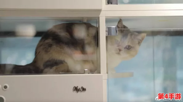 浓毛BwBwBwBwBw：网友热议“这标题真有趣，感觉像是在描述一只可爱的动物！”