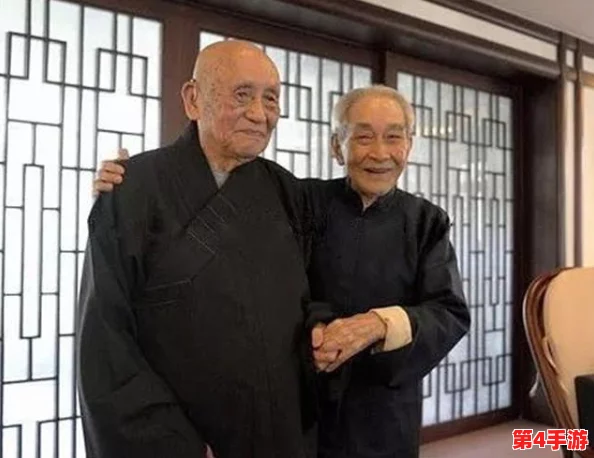 精进之路：菜鸟小忍者排位赛武功策略与全面功法搭配指南