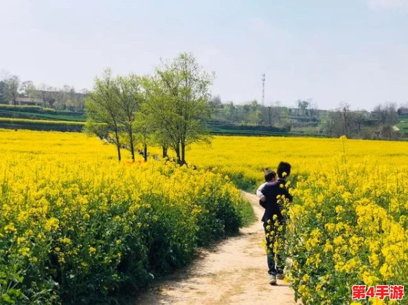光遇之旅:深入暮土第五章,全方位攻略与玩法技巧揭秘 光遇之旅:深入暮土第五章,全方位攻略与玩法技巧揭秘
