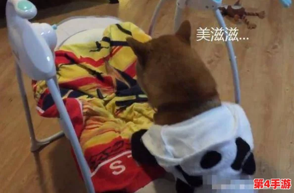 打扑克剧烈摇床不盖被子图片:展现了在轻松娱乐中,朋友们的欢声笑语与无拘无束的生活态度 打扑克剧烈摇床不盖被子图片:展现了在轻松娱乐中,朋友们的欢声笑语与无拘无束的生活态度