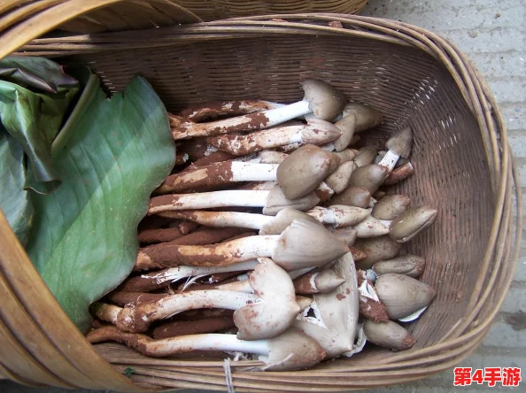 妈妈鼓蓬蓬的牦户：网友热议这份独特的美味，称其为“舌尖上的油炸传奇”！
