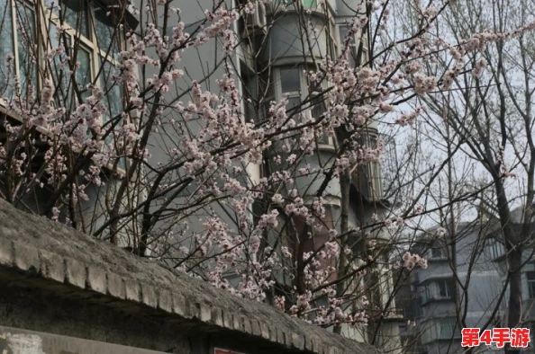 www.怡红院 - 春色满园关不住,一枝红杏出墙来,风月无边任君游