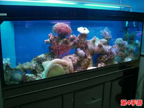 2024年度精选：沉浸式养鱼体验，热门单机水族箱手游大盘点与深度玩法分享