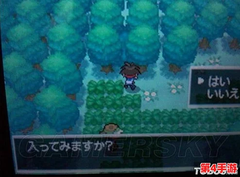 妖怪秘史探宝记：罐子宝箱隐匿之处与高效搜寻策略揭秘之旅