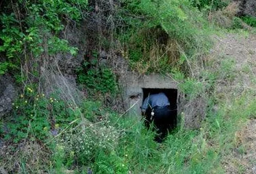 神秘路线入口：网友热议这条线路的奇特景观与未知冒险，期待更多人分享他们的探险经历和感受！