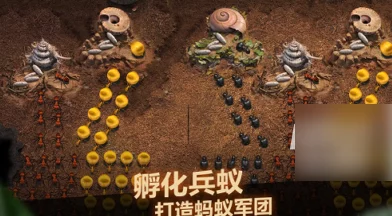 全面攻略：小小蚁国特化蚁升星路径与必需材料详解，助力策略布局再升级！