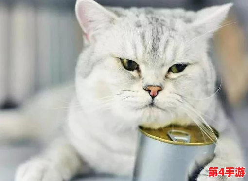 猫咪海外地域永久网名:网友纷纷表示这个名字太可爱了,真想给自家的猫也起个这样的名字! 猫咪海外地域永久网名:网友纷纷表示这个名字太可爱了,真想给自家的猫也起个这样的名字!