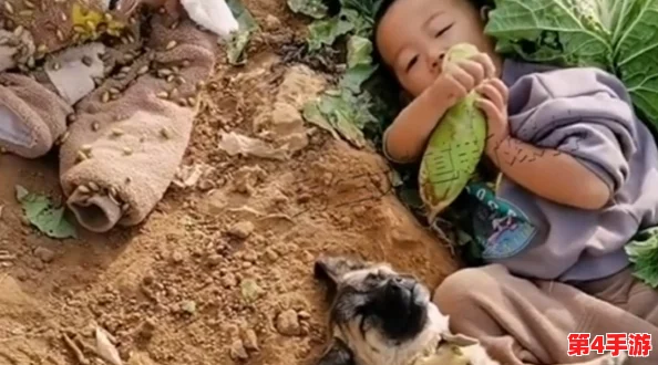 一小孩和妈妈拔萝卜生孩子不盖被子[黄]，网友戏称“天南地北的奇葩剧情，让人哭笑不得！”