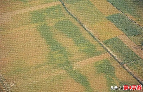 遗迹2作物样本终极指南:全面解析用途与丰厚奖励获取策略 遗迹2作物样本终极指南:全面解析用途与丰厚奖励获取策略