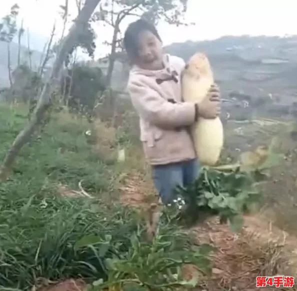 拔萝卜降黄9.1现看，网友评论：这个活动真有趣，期待看到更多精彩内容！