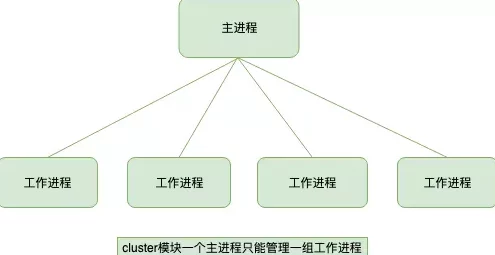 AAAA级毛皮在哪个国家？深入了解其产地与市场需求的关系