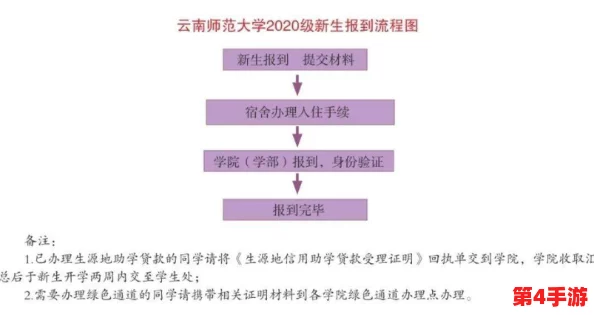 燕云十六声详尽攻略：风弄梅花任务全流程指南与技巧解析