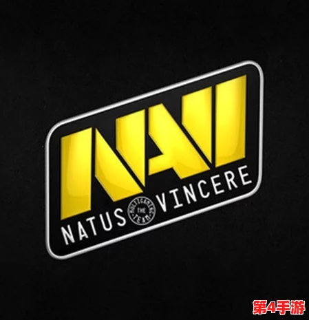 反恐精英领域：NAVI与NRG实力对比，谁才是更强的电竞豪门？