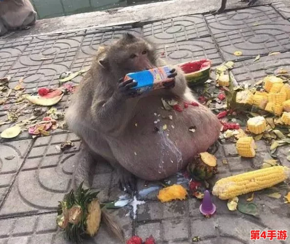 二人生猴子全程不盖被子视频大全集:展现了两人之间的亲密互动与幽默感,令人捧腹大笑的精彩瞬间合集 二人生猴子全程不盖被子视频大全集:展现了两人之间的亲密互动与幽默感,令人捧腹大笑的精彩瞬间合集
