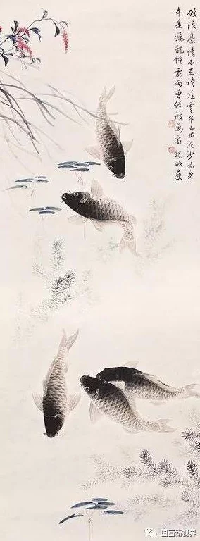 女人鲤鱼喝水图解大全：如鱼得水，畅享生活的每一刻