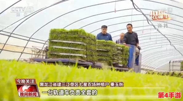 在美国，耕种妈妈肥沃的土地：探讨农业发展与家庭传承的故事